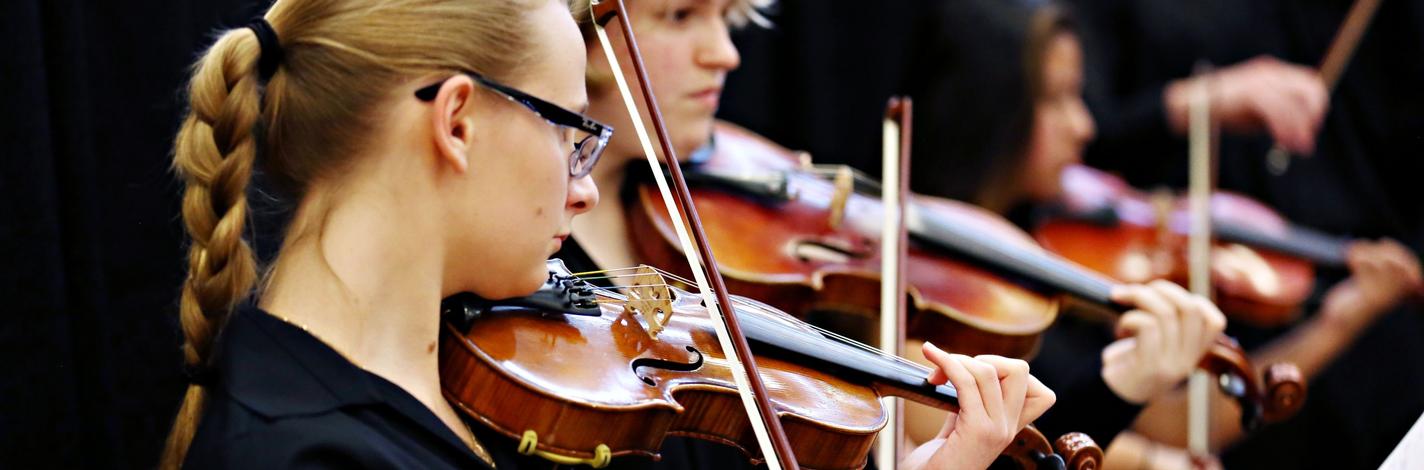 Violin